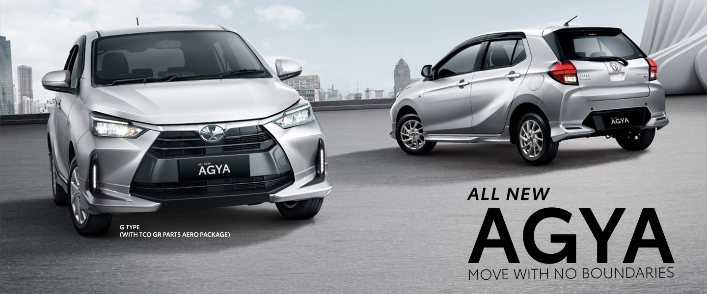 Toyota Simulation